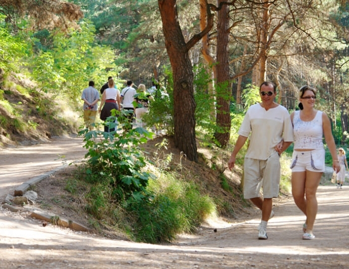 Терренкур - Санаторий «Форос»