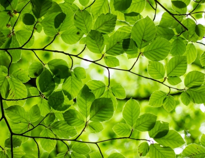 Просто дыши - Лечебные программы - Санаторий «Форос»